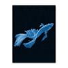 Retro Sea Animal Cyanea Jellyfish Squid Shark Minimalist Art Poster Canvas Painting Wall Prints Picture Living Room Home Decor