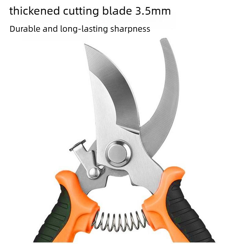 Multi-Purpose Stainless Steel Pruning Shears Set for Garden Orchard Fruit Branches Home Use Ideal Gardening Tool Cheap5