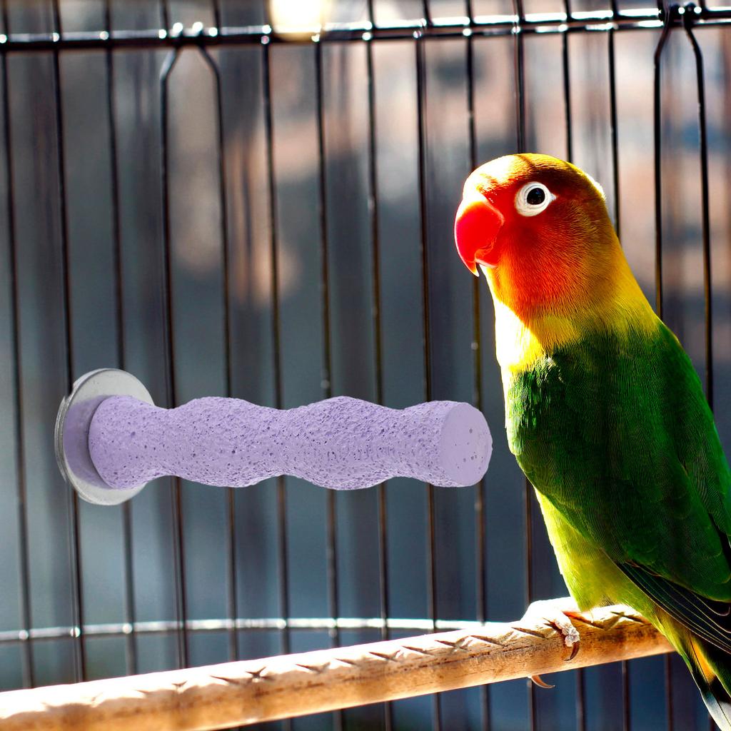 14Cm Eco Friendly Natural Wood Bird Perch Sand Texture Foot Exercise Stand for Parakeets Cockatoos Conures Relieves Boredom