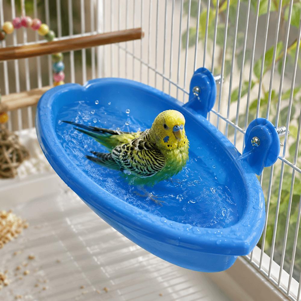 Swimming Pool Bird Bath Shower Durable Bird Drinking Bowl Parrot Shower Bird Feeding Bool Pet Toys