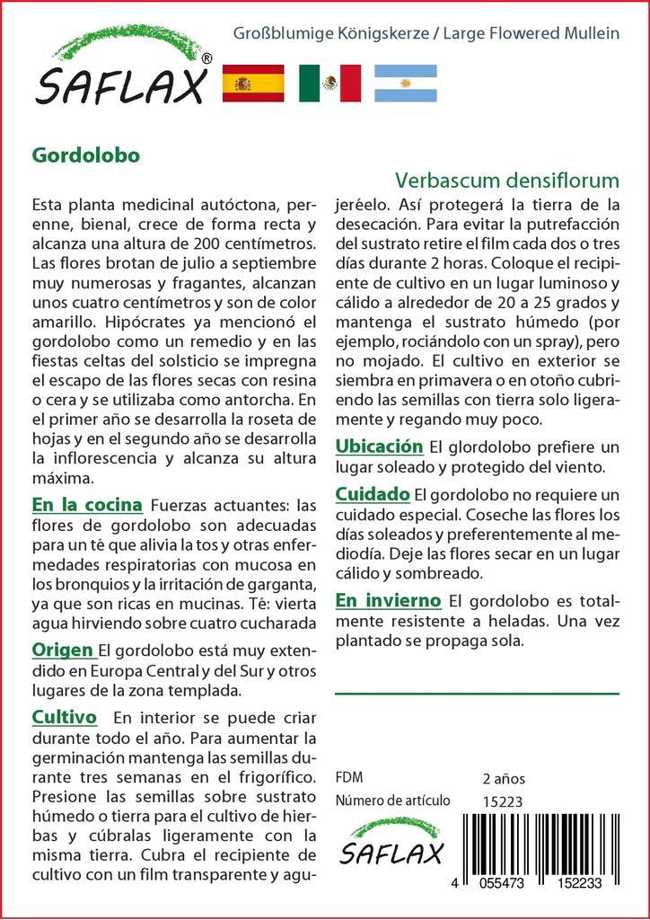 SAFLAX Garden in the Bag - Коровяк крупноцветковый - 500 семян - С субстратом в подходящем мешке - Verbascum densiflorum