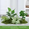 Luxury Faux Green Plant and Flower Decor - Indoor Moss and Grass Clusters for Elegant Landscaping.
