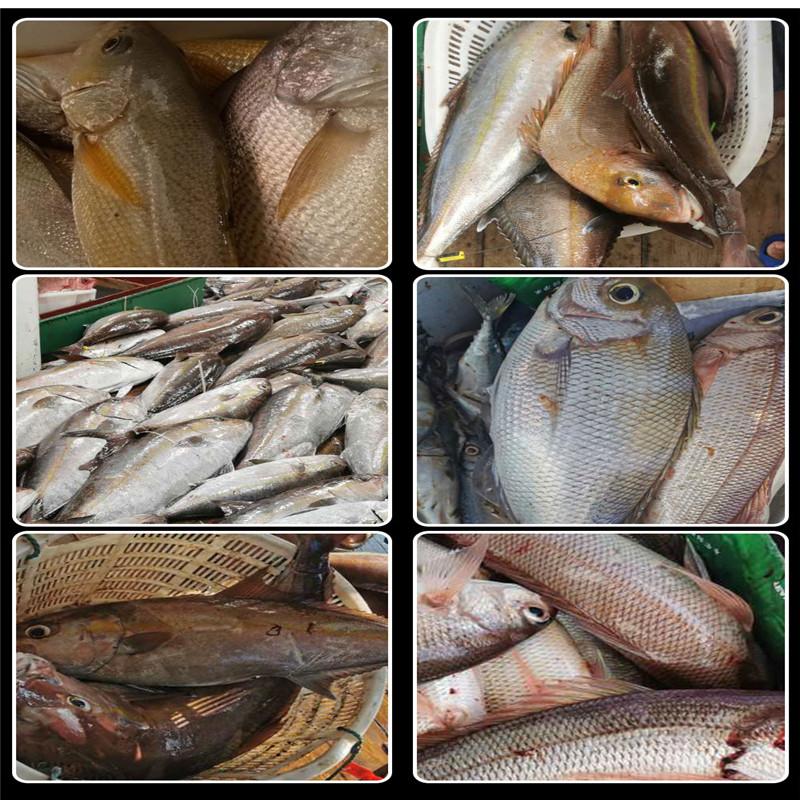FISH KING нейлоновая леска 3000 м/500 м 4,13-34,32 фунта, материал мононити, леска для снастей для ловли карпа