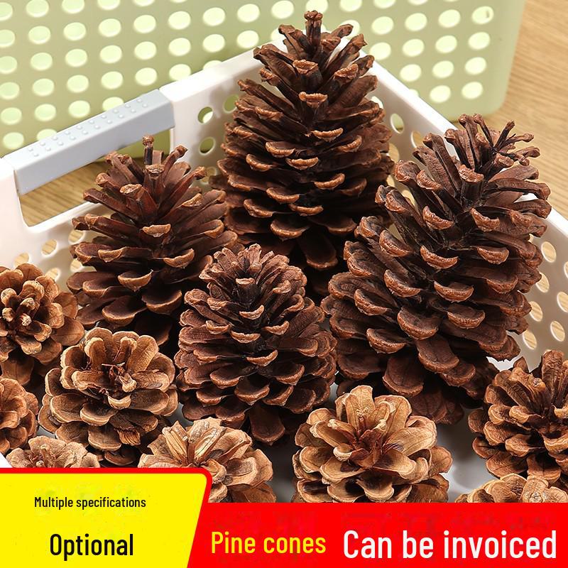 Pine Cone DIY Decoration Kit: Branch, Log, Dried Flowers for Creative Kindergarten Hanging Crafts