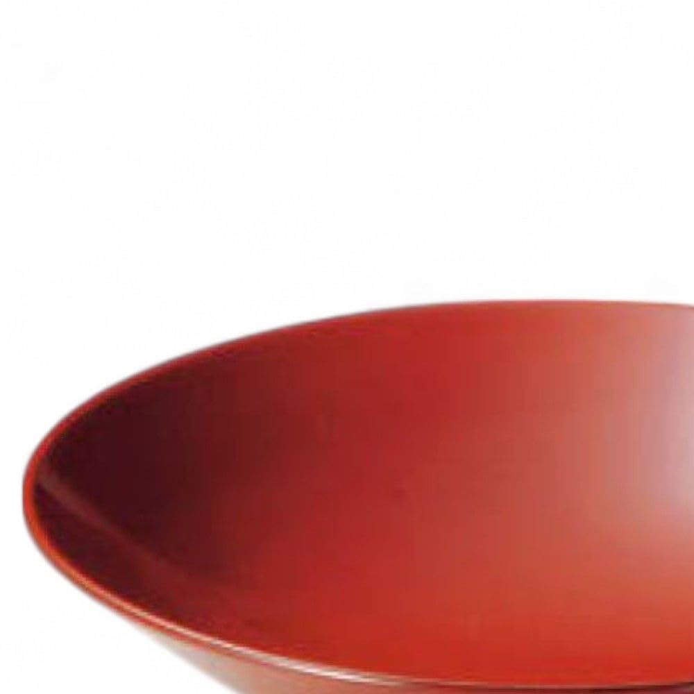 Лакированные изделия Покрытие из синтетического лака на основе древесной пудры и Сделано в Японии J-kitchens Тарелка, Смола, PID-530865,