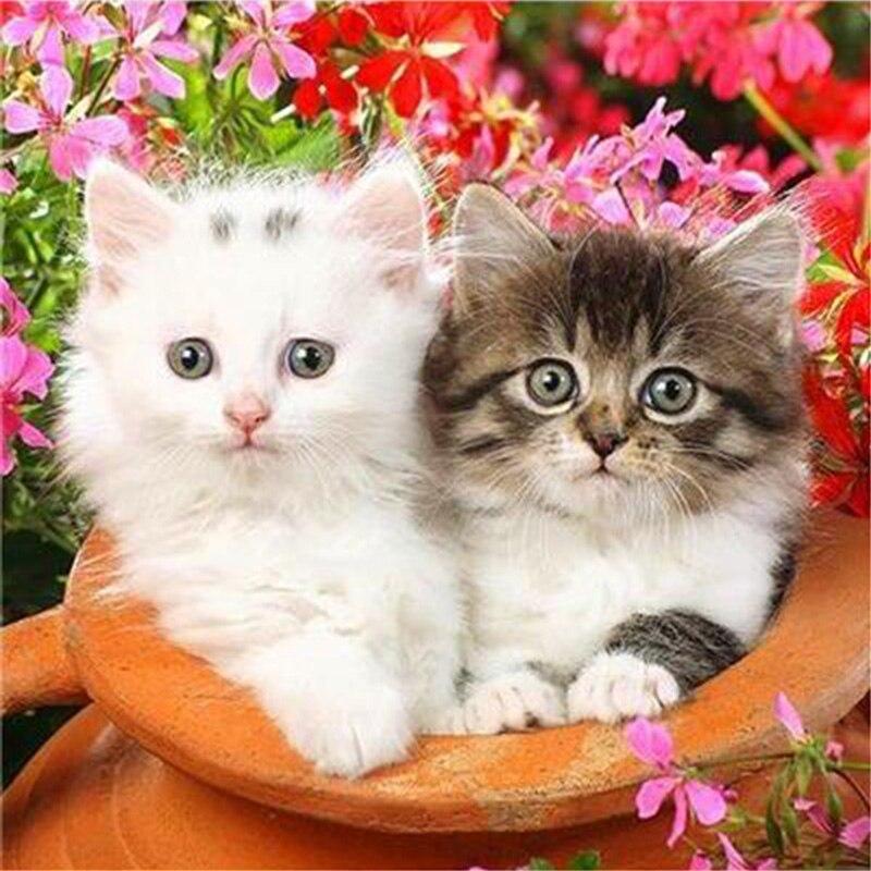 DIY кошка 5D алмазная живопись полная круглая дрель животное Алмазная вышивка мозаика вышивка крестом смола стены книги по искусству домашний декор подарок