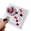 3D Camellia Flowers Butterfly Nail Art Accessories Set, with Rhienstones Beads Chain for DIY Nail Decoration