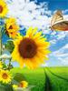 5D DIY Алмазная картина Подсолнух Полный круглый дрель Алмазная вышивка Крестом Искусство Домашнее украшение