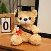 Drteddy Graduation Gift Bear Plush Toy Stuffed Animal Doll Decoration Kids