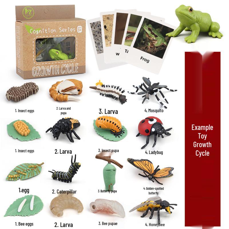 Montessori Animal & Plant Growth Cycle Teaching Toys for Kids