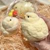 Сквиши-курица Кавайи Силиконовая Желтая Курица с Покрытием Мягкая Рельефная Игрушка-Сжималка Снятие Стресса Сквиши-Игрушка Милая Игрушка-Антистресс