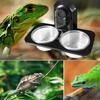Dual Purpose Insect Feeding Dish Plastic Gecko Feeding Ledge Reptile Feeder Bowl  for Snake