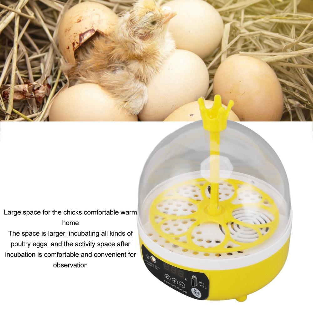 1 set Humidity Control Mini Egg Incubator ABS Home Incubator Automatic Egg Incubator Chickens