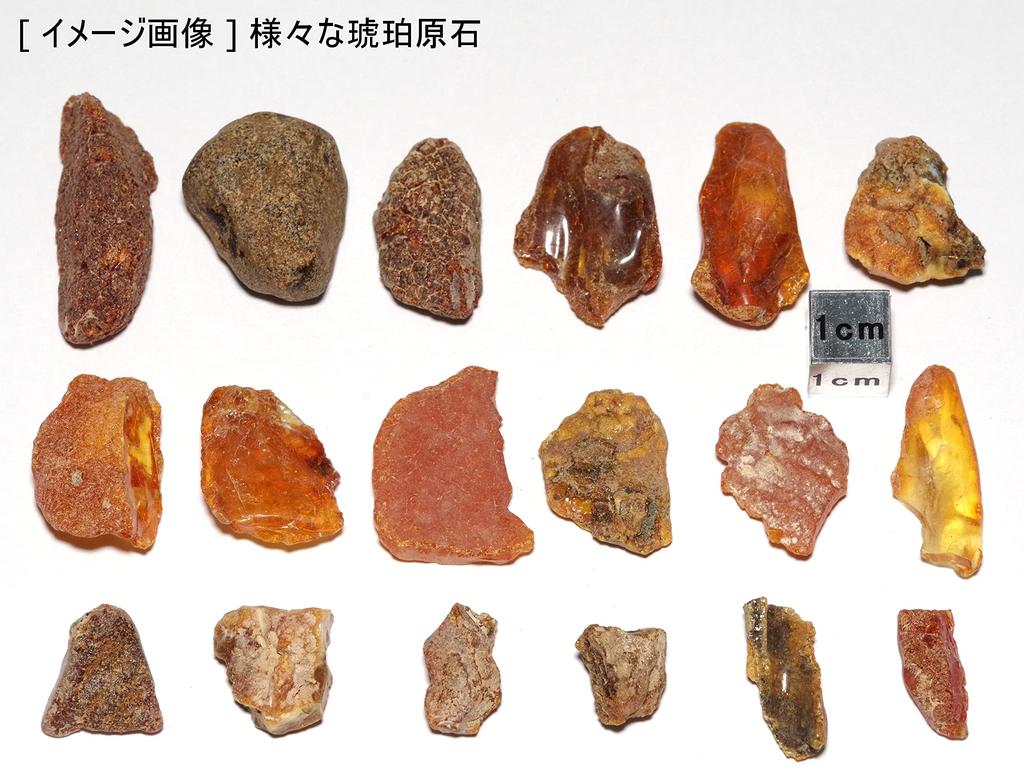 Камень Натуральный ископаемый янтарь необработанный камень 1000г [N2 Natural] / (приблизительно. [приблизительно. 10-15мм] набор)