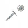 Hardened Screws with Washer Head 4.2x50 (250 Pcs.)