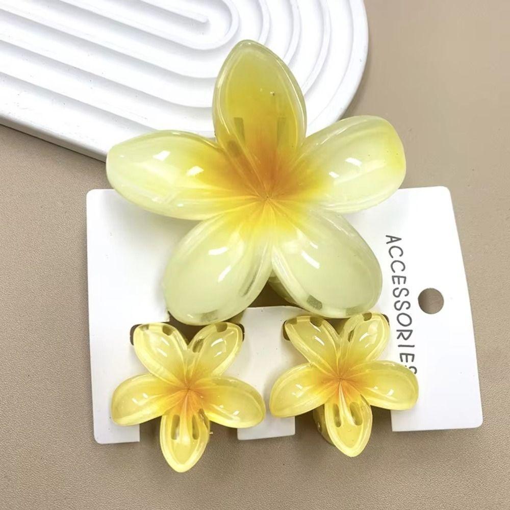 3Pcs/Set New Gradient Hair Claws Sweet Flower Plumeria Flower Hair Clips Acrylic Clamp Hair Accessories Summer