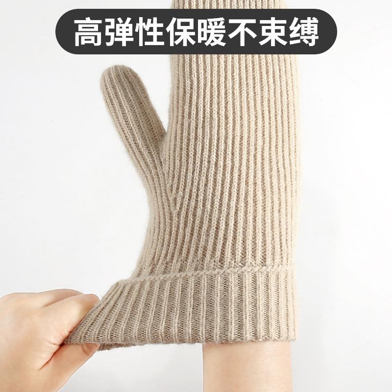 New Winter Thermal Gloves Women's Fleece Thickened Mittens Cycling Skiing Wool, Bag Cover Knitted Gloves