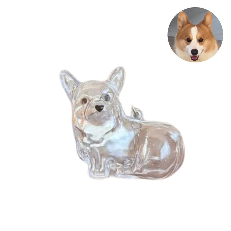Милый брелок для хранения шерсти собаки, прозрачная капсула для хранения шерсти питомца, подвеска-мешочек для сувенирной коллекции, подарок, мемориальное украшение