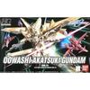 HG Подвижный доспех Gundam SEED DESTINY Оваши Акацуки Гандам масштаб 1/144 Цветная пластиковая модель