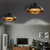 VidaXL 2x Semi-spherical Ceiling Lights Lamp Lighting Light Dining Room Home Interior Bar Entrance Hall Cafe Kitchen 50873