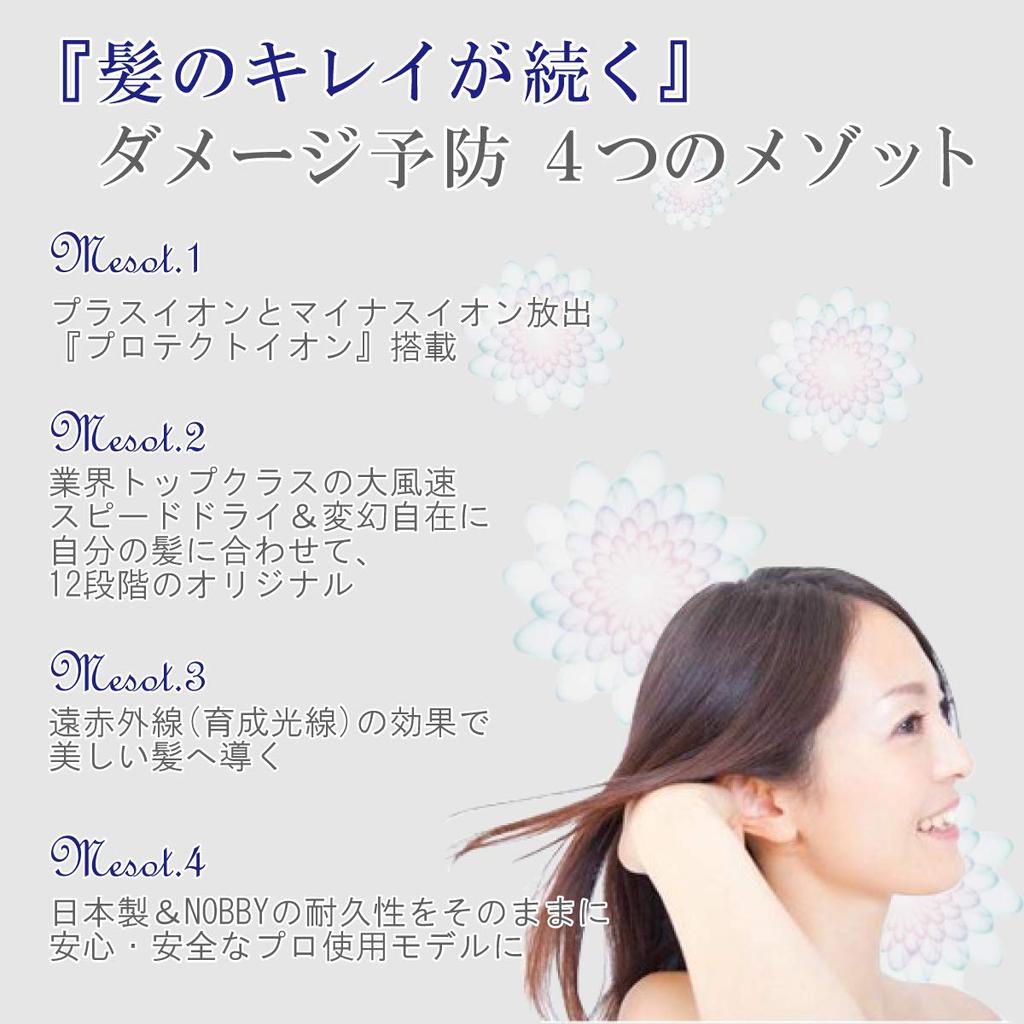 Tescom Privenik Protect Ion Hair Dryer