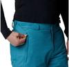 Columbia Брюки Bugaboo™ IV