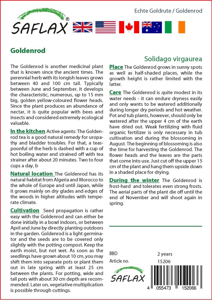 SAFLAX Garden in the Bag - Золотарник - 100 семян - С субстратом в подходящем пакете-стойке - Solidago virgaurea