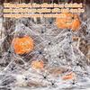 Halloween Spider Web Decoration Stretchy Spider Web with Small Fake Spiders Large Cobwebs for Indoor And Outdoor Parties Haunted Houses Decor