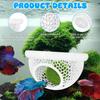 Betta Bulb Hide Aquarium Cave Small Fish Feeding Rings Betta Habitat Suitable for Most Aquariums
