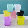 Colorful Mini Black Square Plastic Flower Pots for Succulents