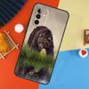 Чехол Медведь Гризли для Samsung Galaxy A54 A34 A14 A15 A35 A55 A52 A32 A12 A51 A71 A13 A23 A33 A53
