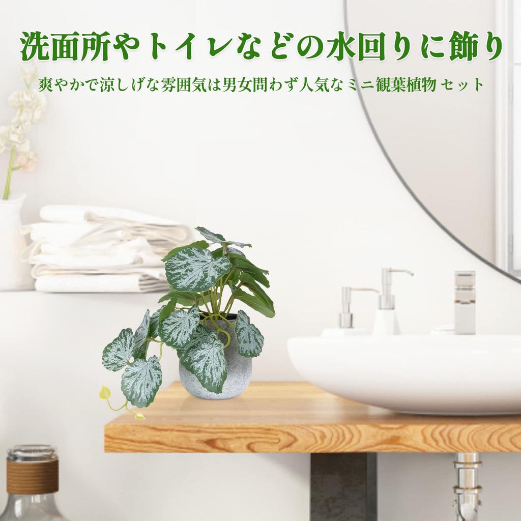 XiaZ Faux Greenery Tabletop Artificial Mini Potted Small Faux Stylish No Watering Care Perfect Gift for or Any Festival 3-Piece Set, Plants, Plants,