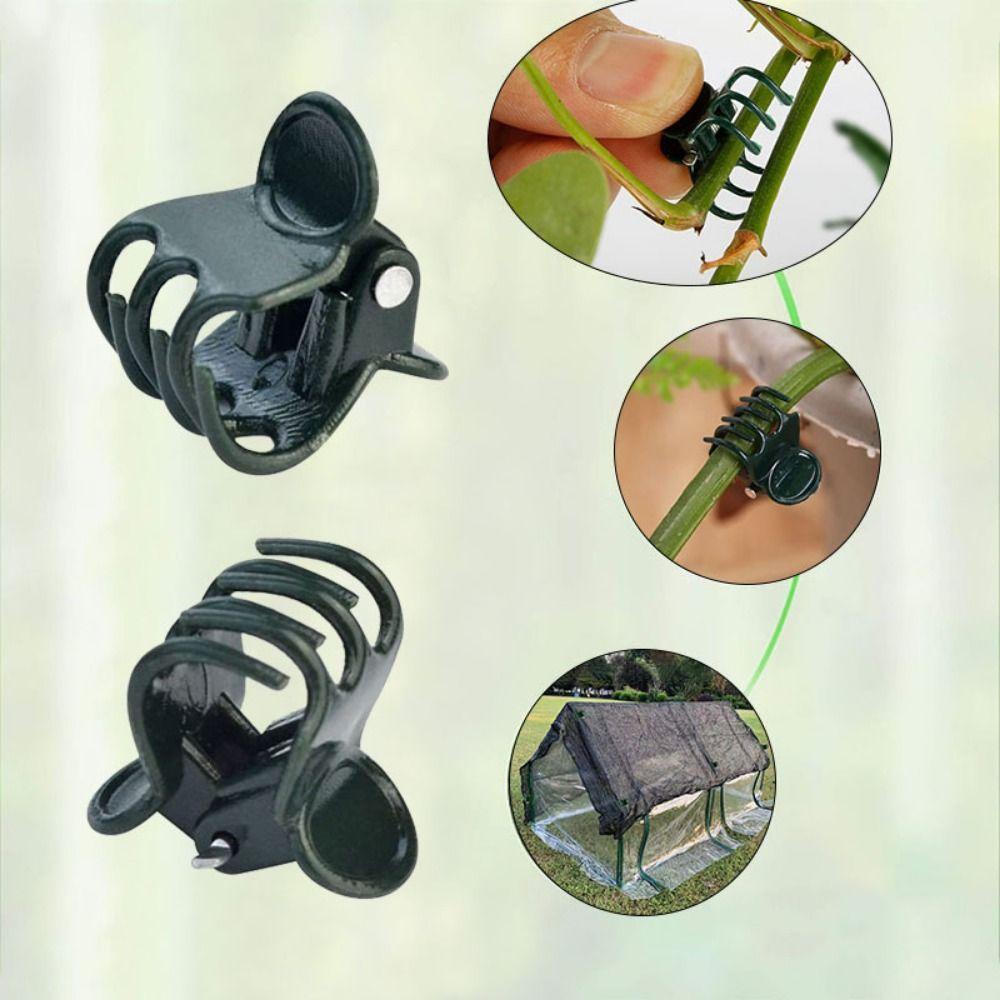 100Pcs Supplies Garden Tools Plant Clips Vine Grafting Butterfly Clamp Fruit Vegetable Stem