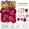 Handmade Resin Pressed Flower Bookmark DIY Kit: Transparent Specimen Stickers & Dried Flowers for Students