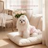Female Dog Physiological Pants Soft Elastic Pet Menstrual Pants Adjustable Anti-harassment Sanitary Underwear for Small Dogs