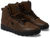 Ботинки DC Shoes Pure Ht (ADYB100018) brown