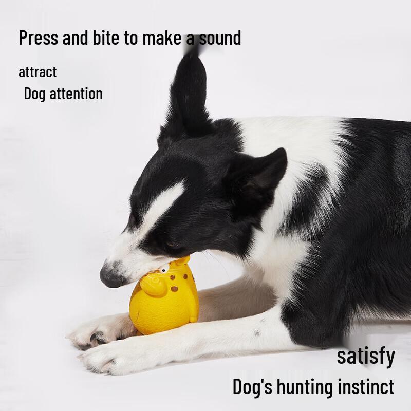 EETOYS Market Leader Squeaky Latex Dog Toy