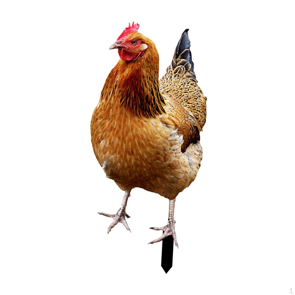 Элегантная металлическая садовая скульптура в виде курицы для наружного декора