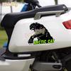 Наклейка с логотипом Arctic Cat Bad Kitty Виниловая наклейка на автомобиль Снегоход Лыжный прицеп Мотоцикл Наклейка Спортивные гоночные аксессуары Наклейка