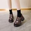 Thick-soled Small Leather Shoes Women's Skirt High-heeled Loafers 2025 Spring New Leather Retro Versatile Height-increasing Single Shoes