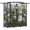 Elevated Planter with Trellis and Hanging Roof Brown 163 x 40 x 126 cm PP