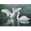 DIY Swan 5D Diamond Painting Full Round Drill Animal Diamond Embroidery Cross Stitch Kit Mosaic Resin Home Decor Gift
