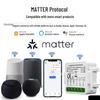 2024 Matter Smart WiFi-переключатель с голосовым управлением: 1-2-3-ходовой с таймером
