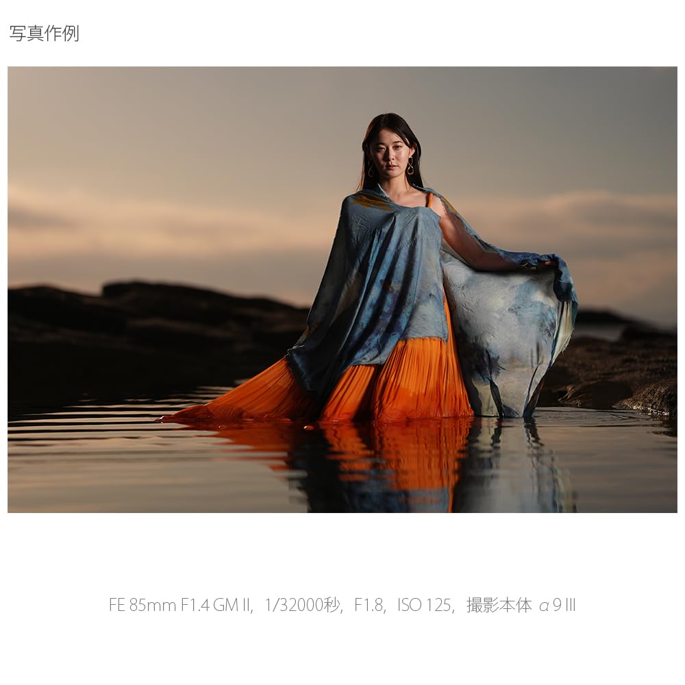 Sony Telephoto Single Focus Lens Full Size FE 85mm GM G Master Genuine Lens for Digital Single Lens Camera SEL85F14GM2 F1.4 [E Mount]