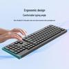 Philips SPK6308 Wireless Keyboard