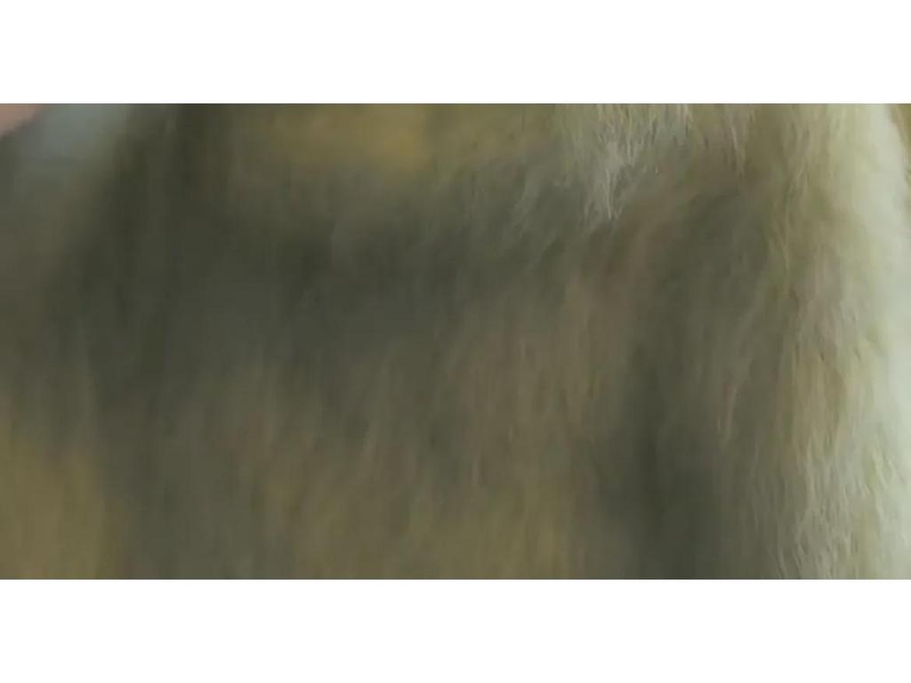 Элегантный зеленый мохеровый свитер для женщин - зимний утолщенный, роскошный на ощупь, красивый пуловер из норковой шерсти