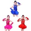 Professional Kids Latin Dance Dress Tassel Dance Performance Outfits Stage Costume  Show Costumes