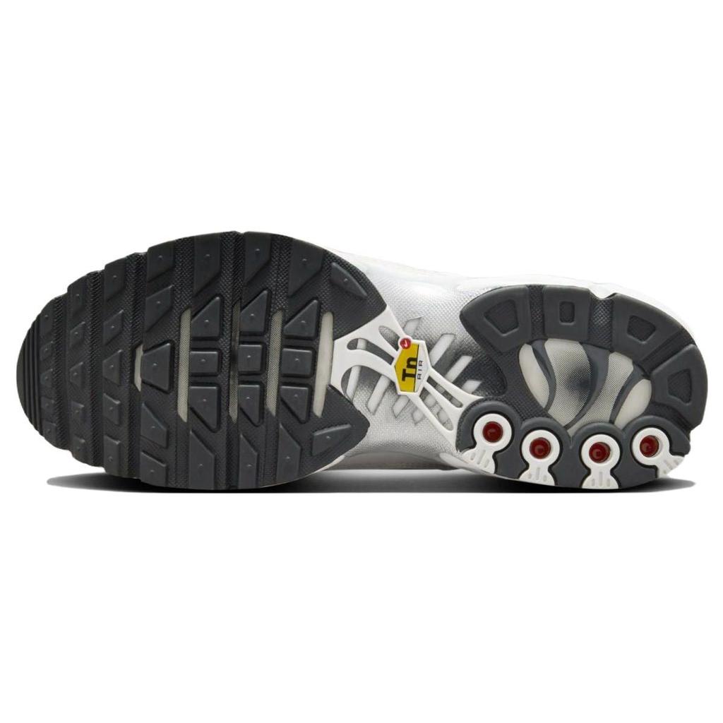 Nike Женские кроссовки Air Max Plus Platinum Tint Белый Темно-Дымчато-Серый Металлик-Серебристый FZ4342-001