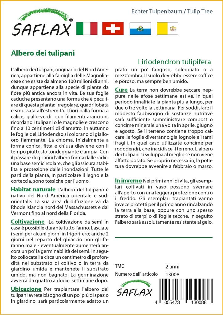 SAFLAX Тюльпановое дерево - 20 семян - Liriodendron tulipifera