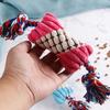 Plush Candy Dog Toy Interactive Chew Toy Rope Squeaky Stuffed Knot Puppy Tug of War Toy